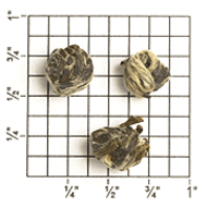 Guangdong Province Jasmine Dragon Phoenix Pearl (ZJ91) from Upton Tea Imports