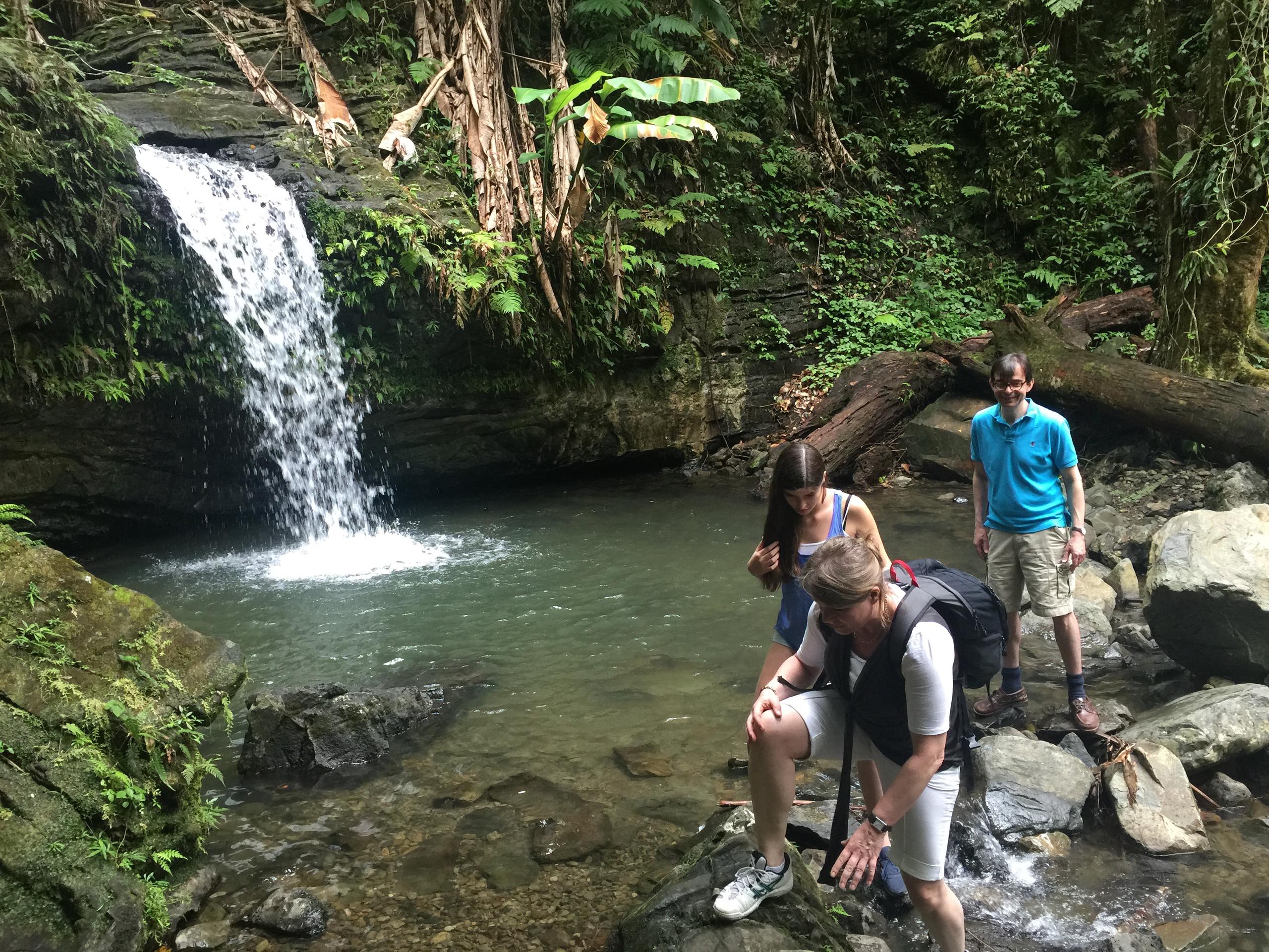 Private El Yunque Rainforest Tour photo 2
