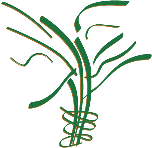 Tree of Life Foundation logo