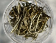 2013 Aged Bai Hao Yin Zhen from Verdant Tea