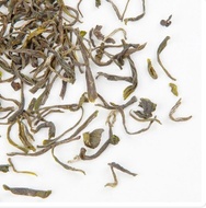 Organic Taimu Maojian Green Tea from Teavivre