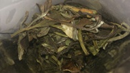 White Melon Punch from Liquid Proust Teas