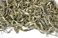 Spring 2013 "Premium Mao Feng" Yunnan Green Tea from Yunnan Sourcing