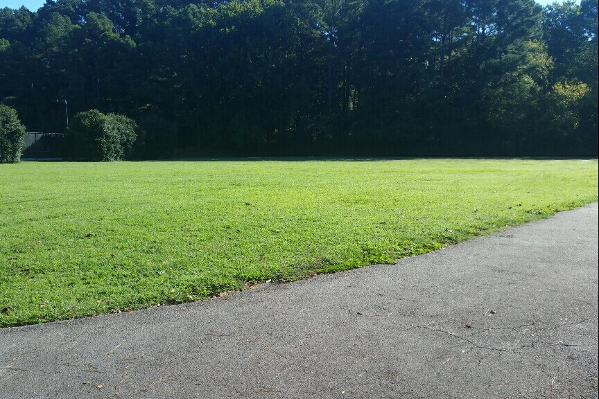 Field