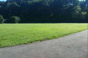 Field