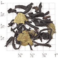Blackcurrant (TF21) from Upton Tea Imports