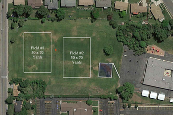 Field 1