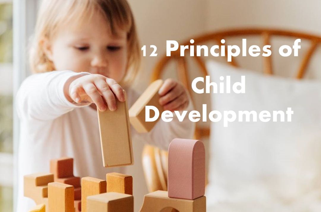 12 Principles of Child Development | PCA-NJ