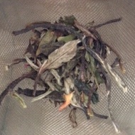 Lady Earl White Tea from Tempting Teas