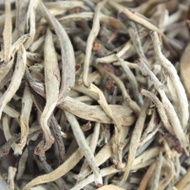 Snow White Pu-erh 2003 from White Lotus Tea Club