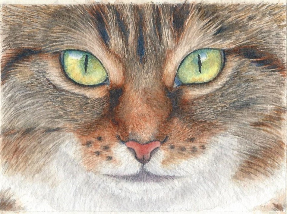 Mini Painting: Tabby Cat in Watercolor | Watercolors with Rebecca