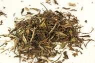 Kiwiburst from Shui Tea