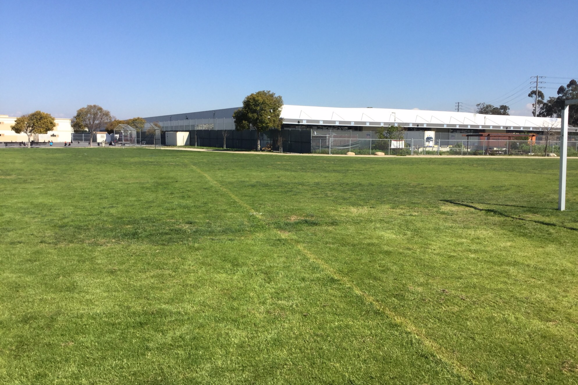 Field