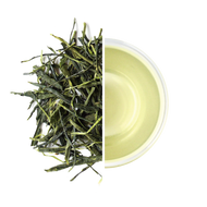 Sencha of the Summer Sun from Kyoto Obubu Tea Farms