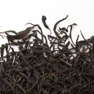 Tea Studio Nilgiri Coonoor from Camellia Sinensis