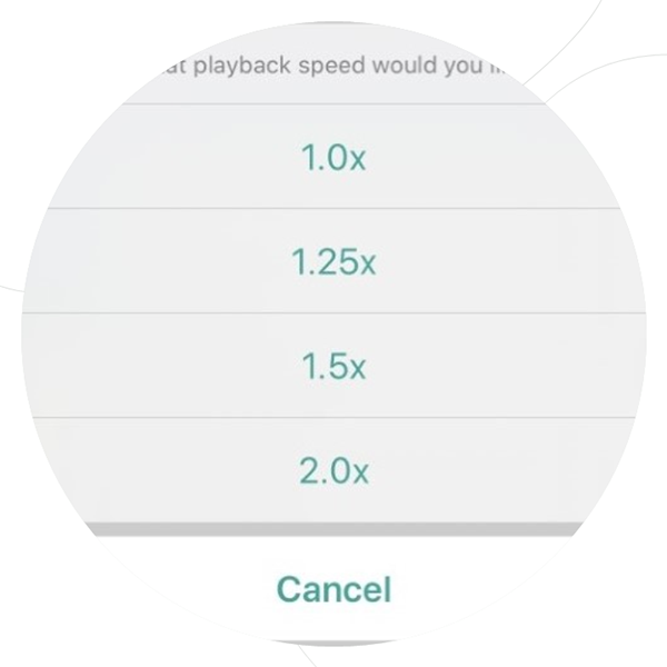 Course Speed Control