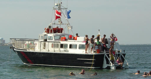 Snorkeling Trip photo 1