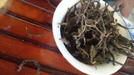 The Home for Butterflies-LanCang Rier Basin- XiGui ManLu Mountain Ancient Tea Tree 2013 昔歸古樹 from TanLong Tea