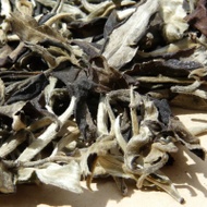 Yue Guang Bai from Yunnan Sourcing