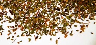 Peppermint from Shanti Tea