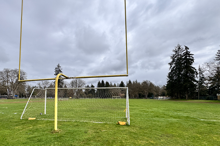 Football Field Grass