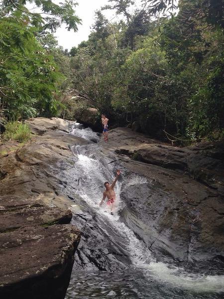 El Yunque Rainforest "Off the Beaten Path" Hiking Tour tour photo 6