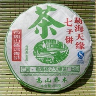 2009 Tian Yuan Bulang Green Cake   Raw    250g from Yunnan Sourcing
