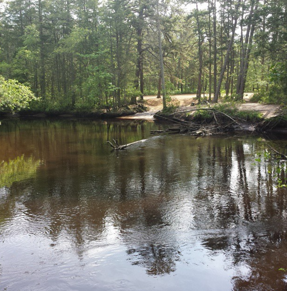 Water Activities & Mullica River Guided Tour by Pinelands Adventures - Philadelphia