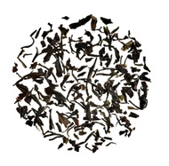 High Mountain Artisanal from Gong Fu Tea Shop