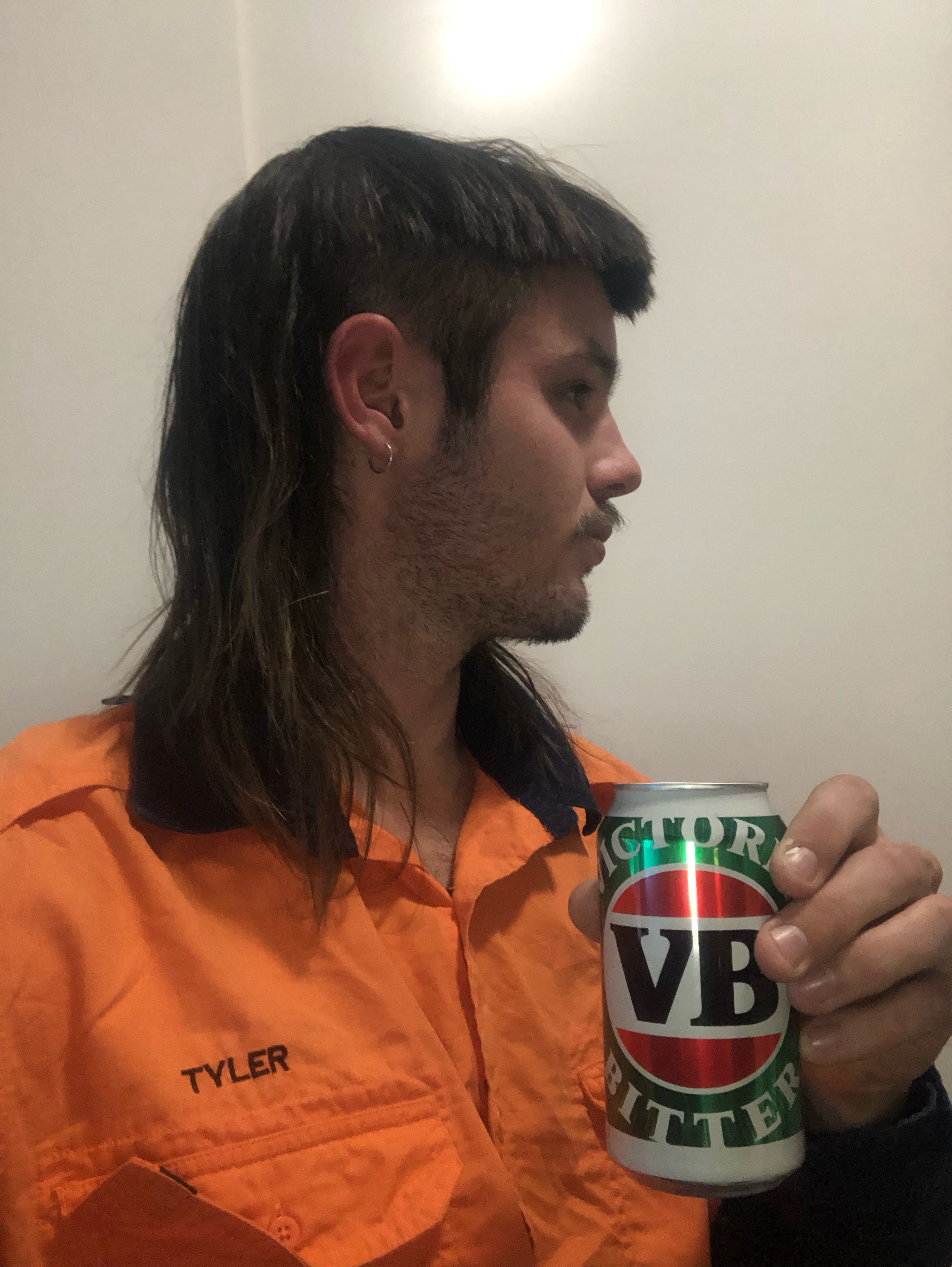 vb Mullet logo