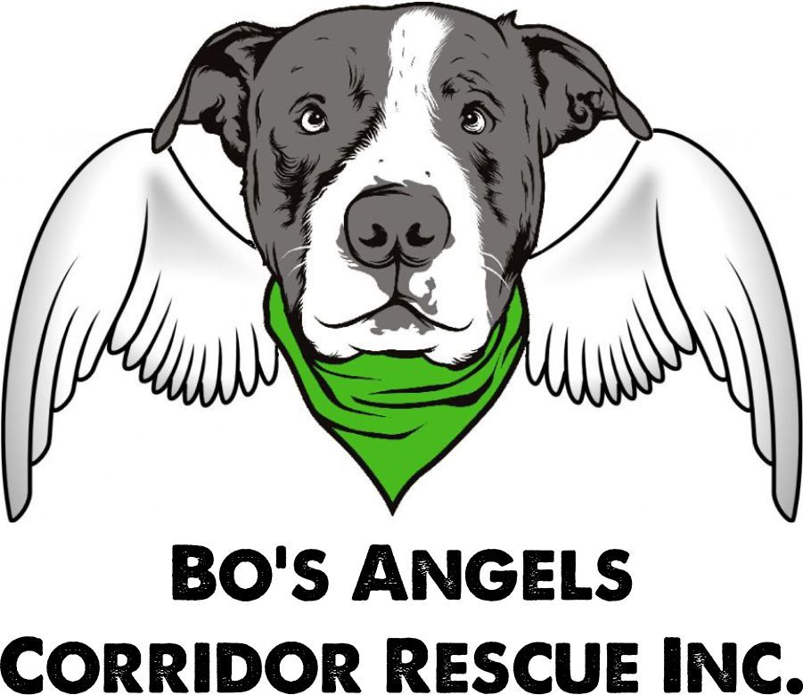 Corridor Rescue Inc. logo