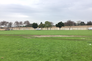 Field-West
