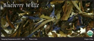 Blueberry White from Shanti Tea
