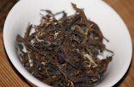 Wild Jungle Green Pu-erh “Maocha” #5801 from The Phoenix Collection