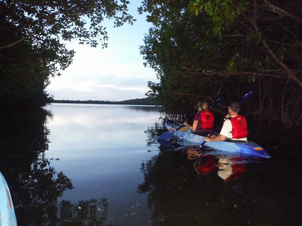 Bio Bay Kayak Tour photo 1