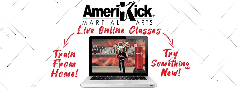 Online Martial Arts for Beginners | Virtual Martial Arts Training