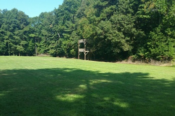 Field