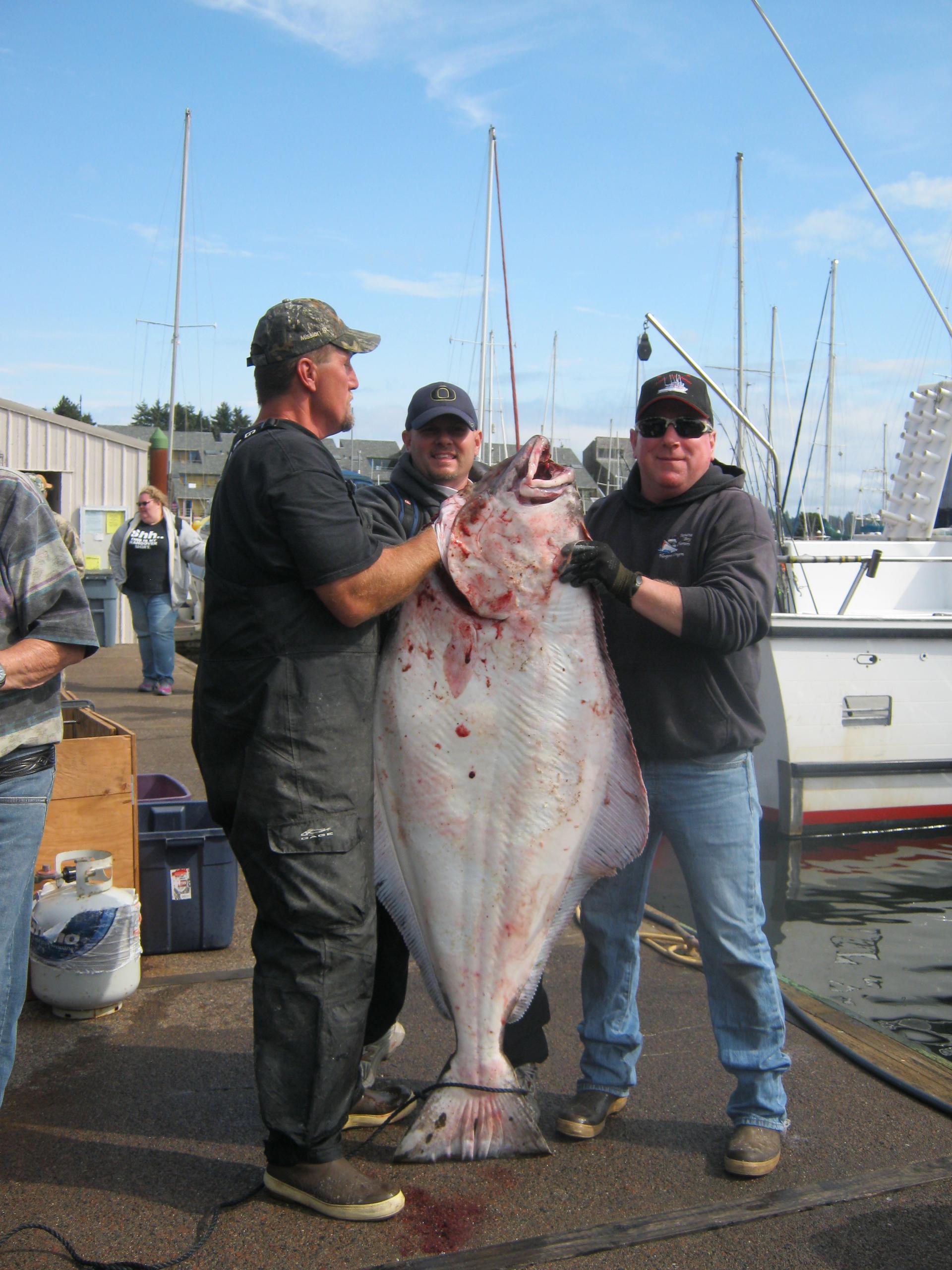 Near Shore Halibut & Rockfish Fishing Trip in Newport, OR - Newport