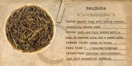 Houjicha from Mountain Rose Herbs