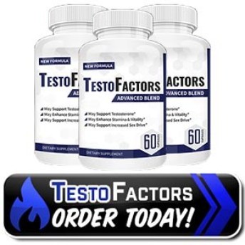 Testo Factors logo