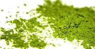 Organic Matcha from Matcha Factory