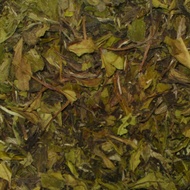 Pai Mu Tan from Kuća zelenog čaja