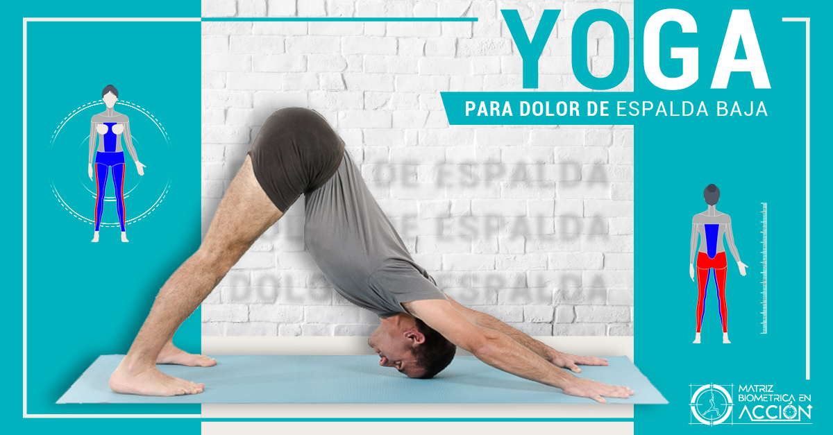 Yoga para el Dolor de espalda Baja