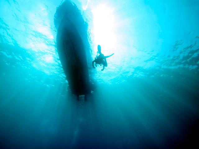 Late Manta Ray Snorkel photo 1