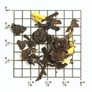 TF18: Apricot from Upton Tea Imports
