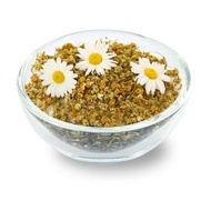 Camomile from Tea Story