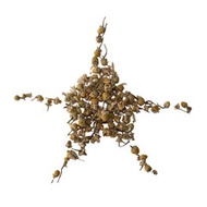 Chamomile Blossom from KIMICHA