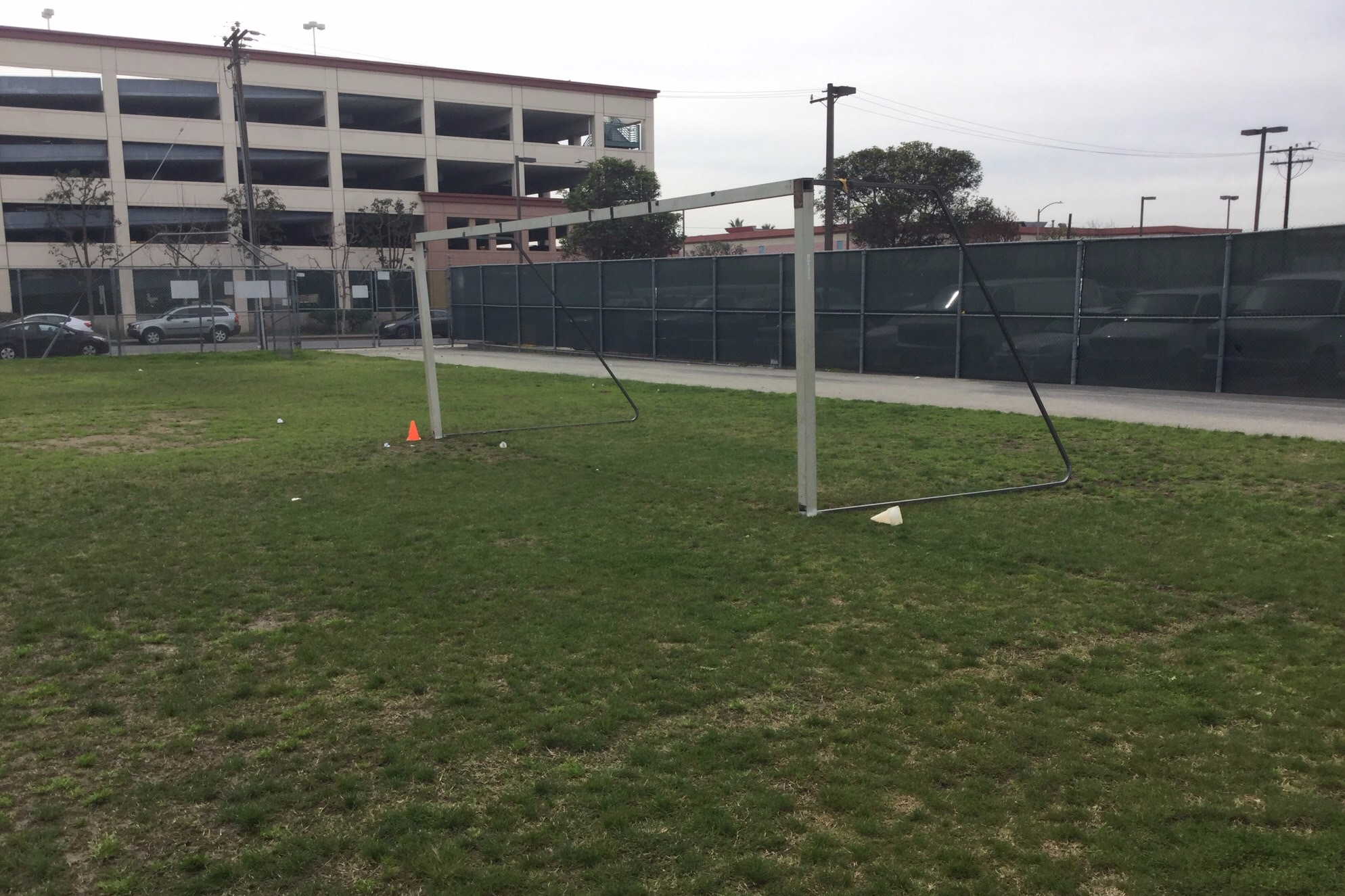 Field