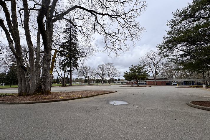Parking Lot - Side/Back