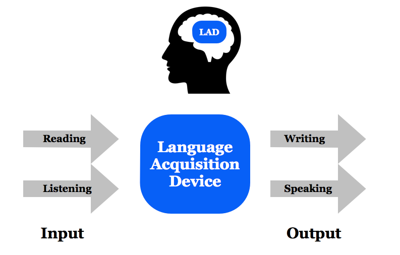 Language acquisition device. Language acquisition схема. Language acquisitions and language Learning. Acquiring language. Language device